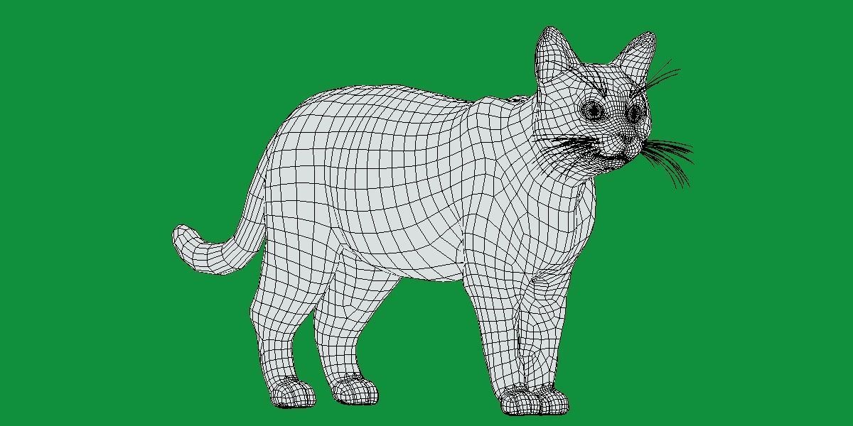 Calico Tricolor Cat Low-poly 3D model_13