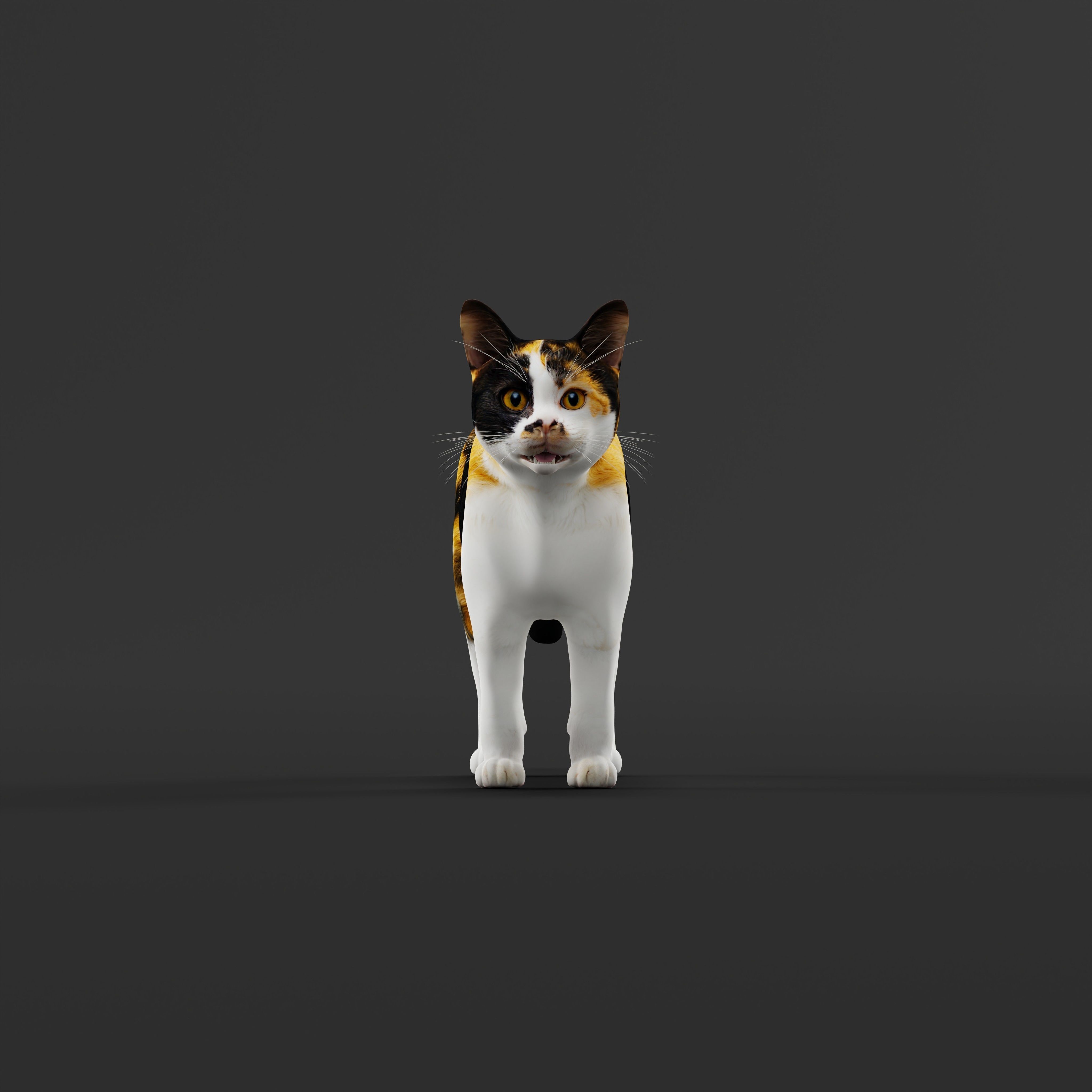 Calico Tricolor Cat Low-poly 3D model_30