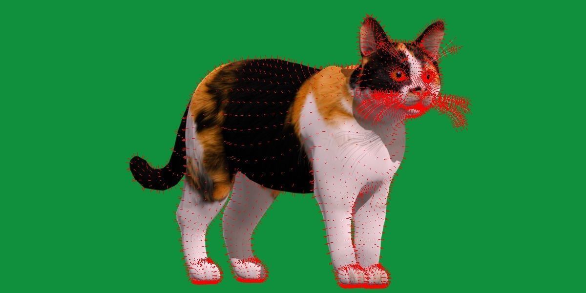 Calico Tricolor Cat Low-poly 3D model_15