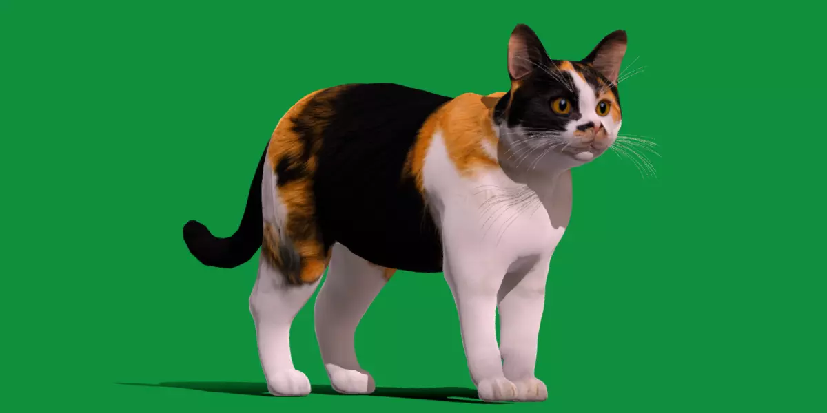 Calico Tricolor Cat Low-poly 3D model_0