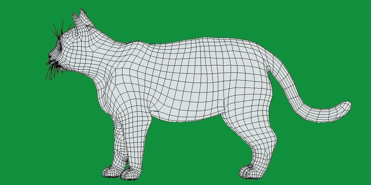 Calico Tricolor Cat Low-poly 3D model_14