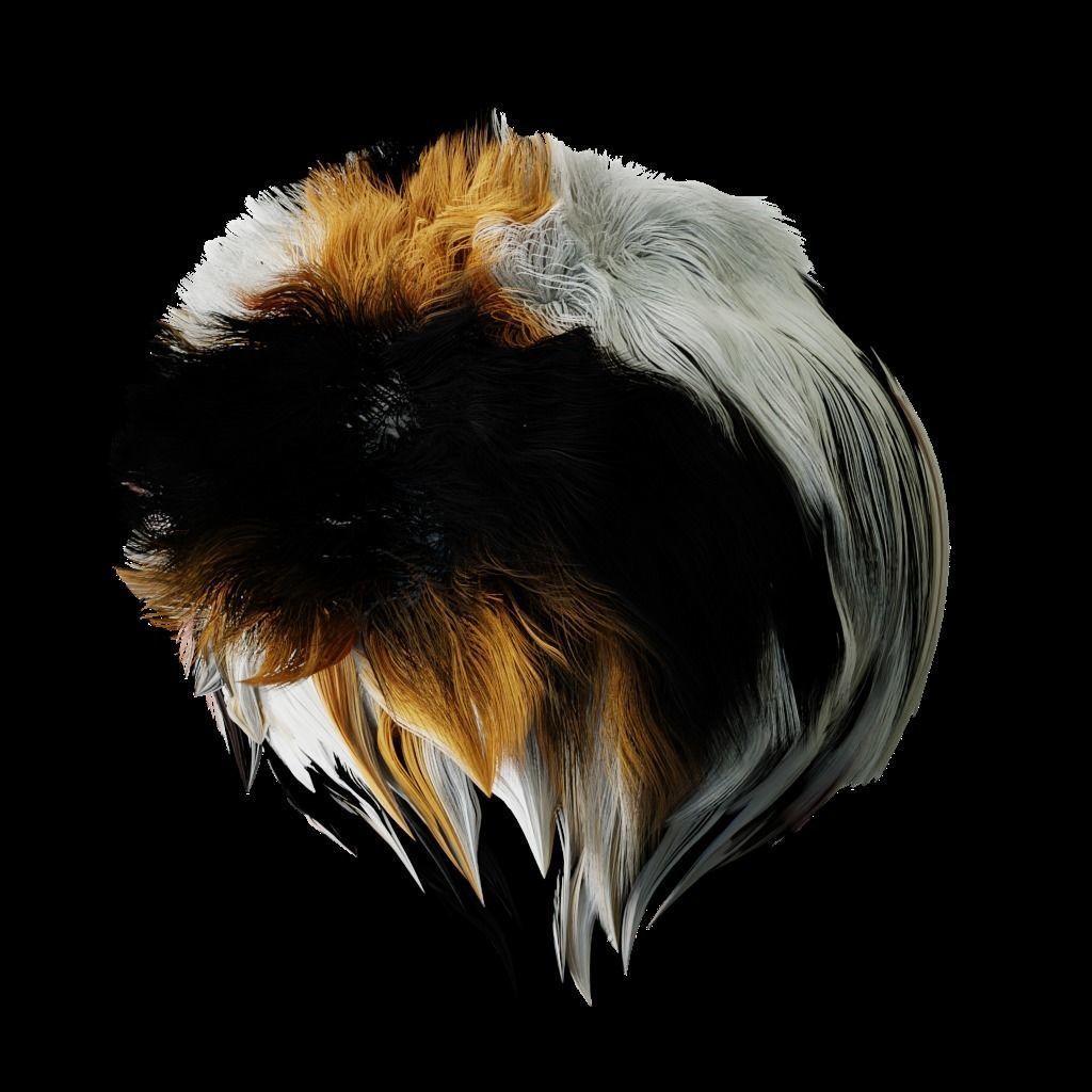 Calico Tricolor Cat Low-poly 3D model_5