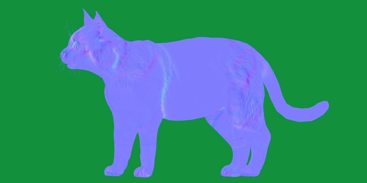 Calico Tricolor Cat Low-poly 3D model_7