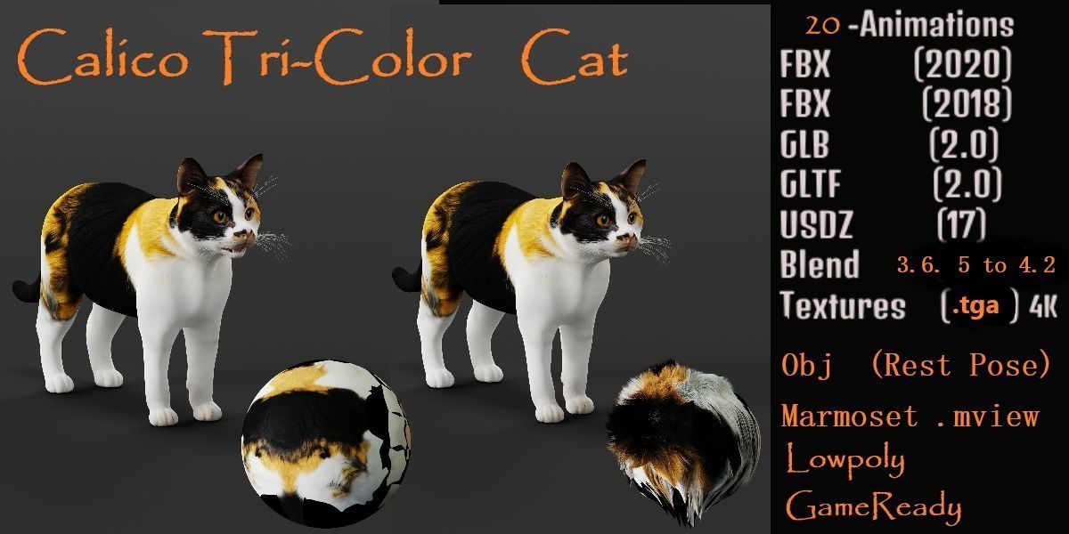 Calico Tricolor Cat Low-poly 3D model_3