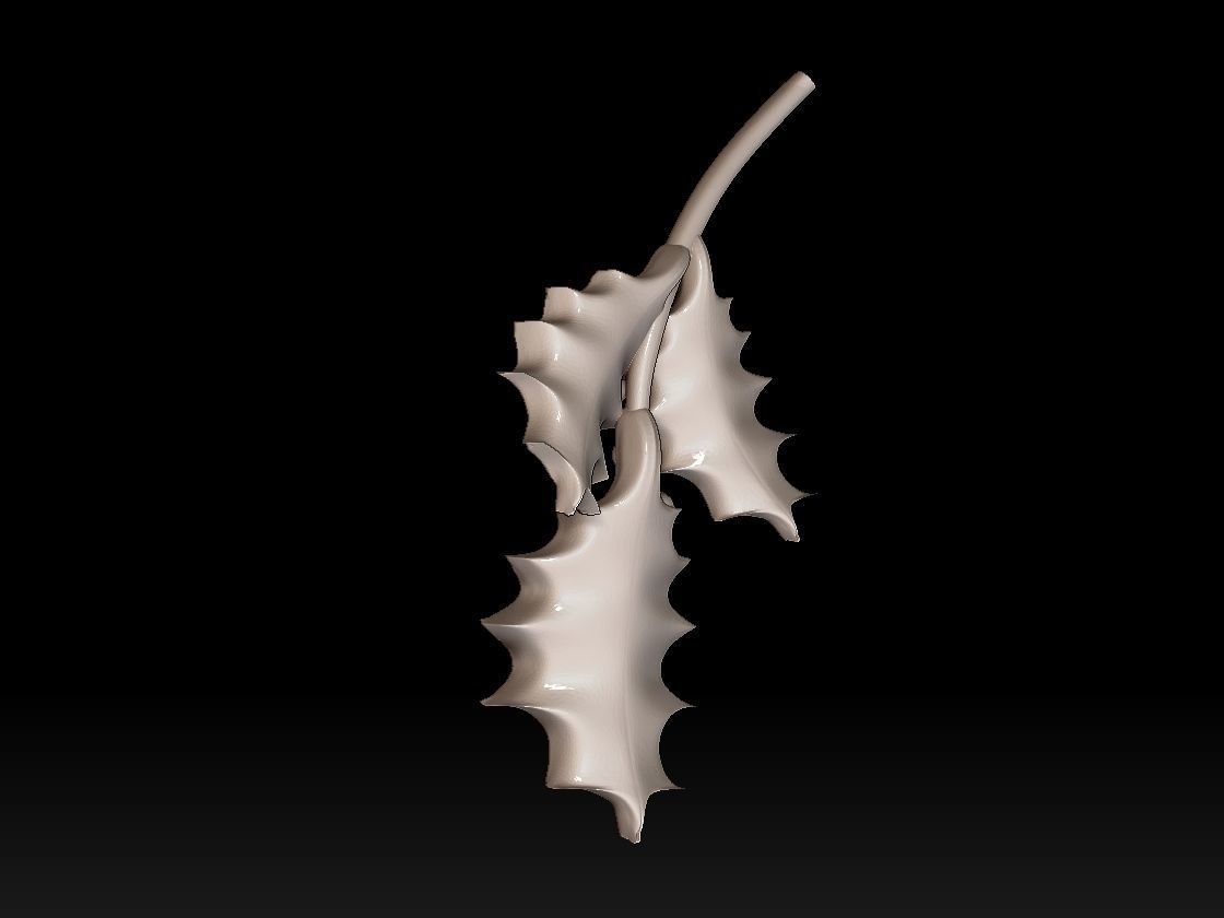 holly 3D print model_20