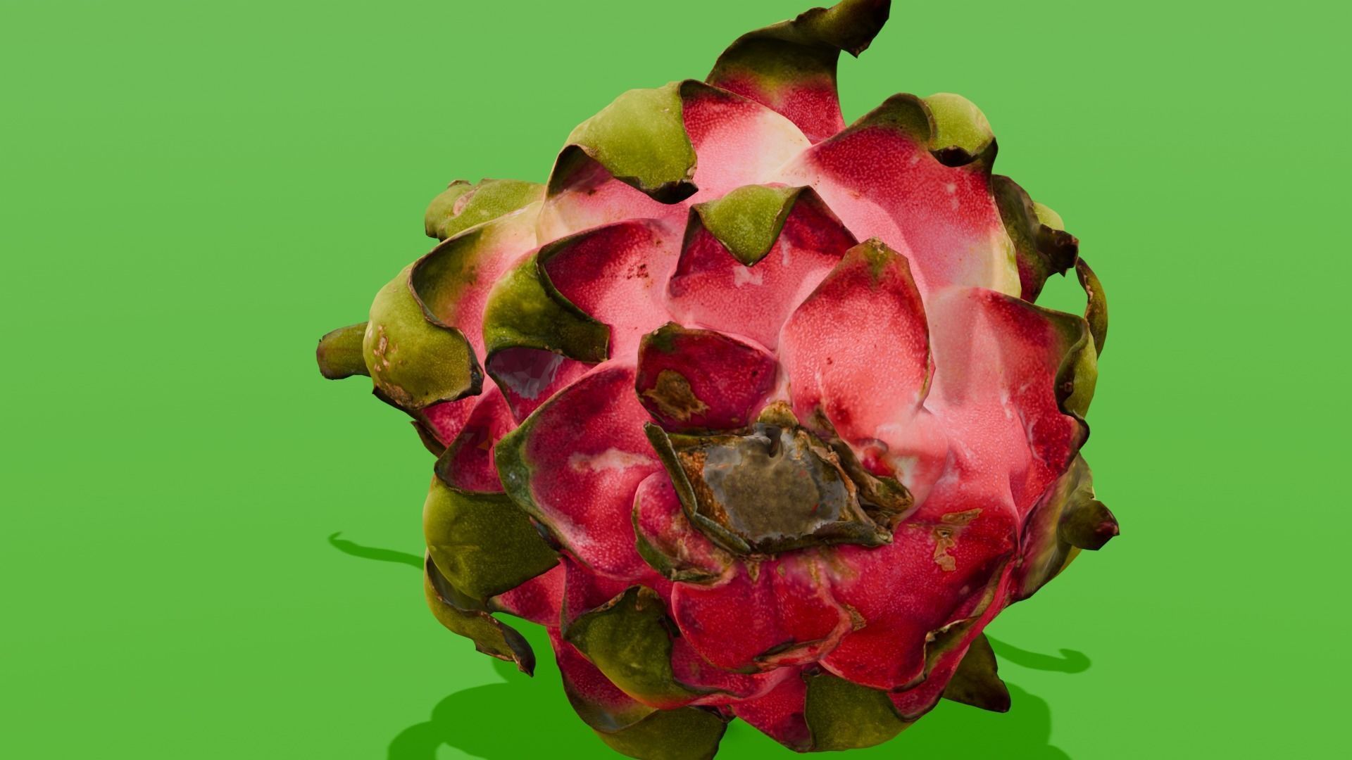 Dragon Fruit 3D Model Low-poly 3D model_9