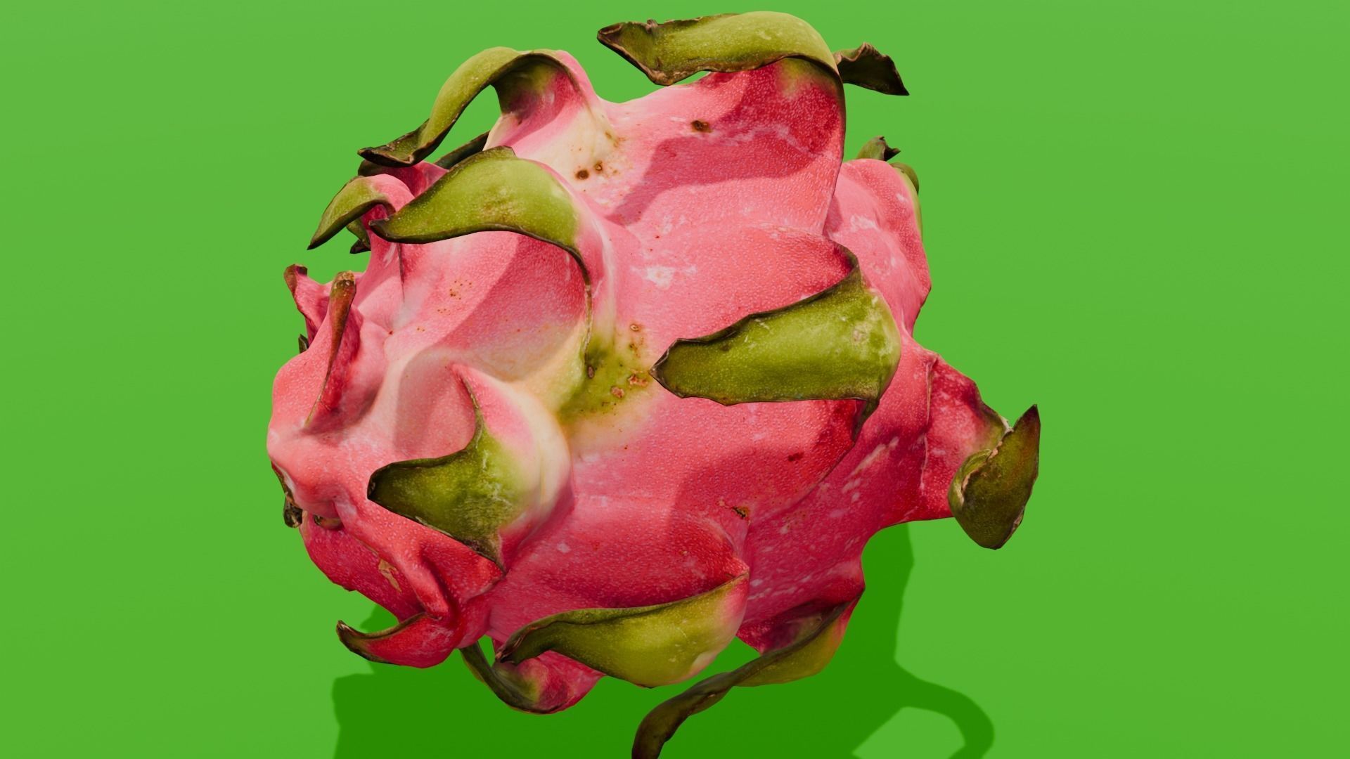 Dragon Fruit 3D Model Low-poly 3D model_10