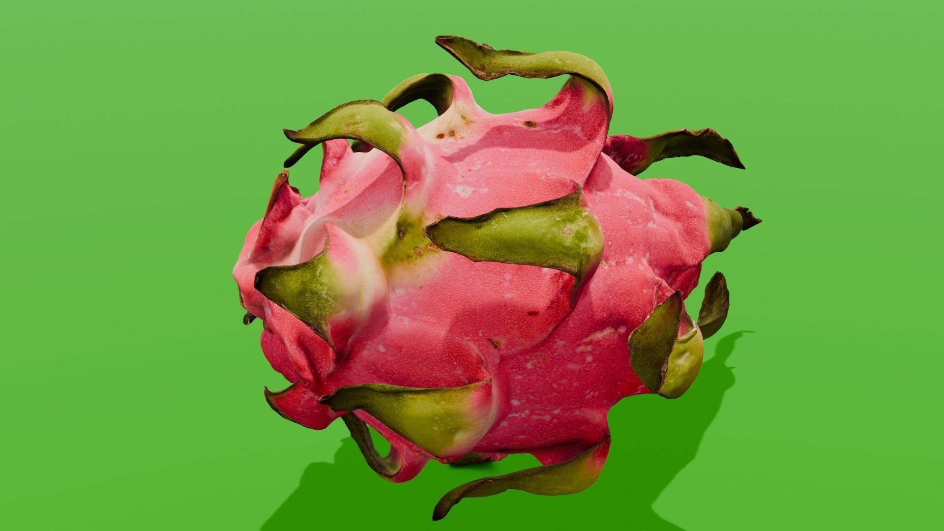 Dragon Fruit 3D Model Low-poly 3D model_21