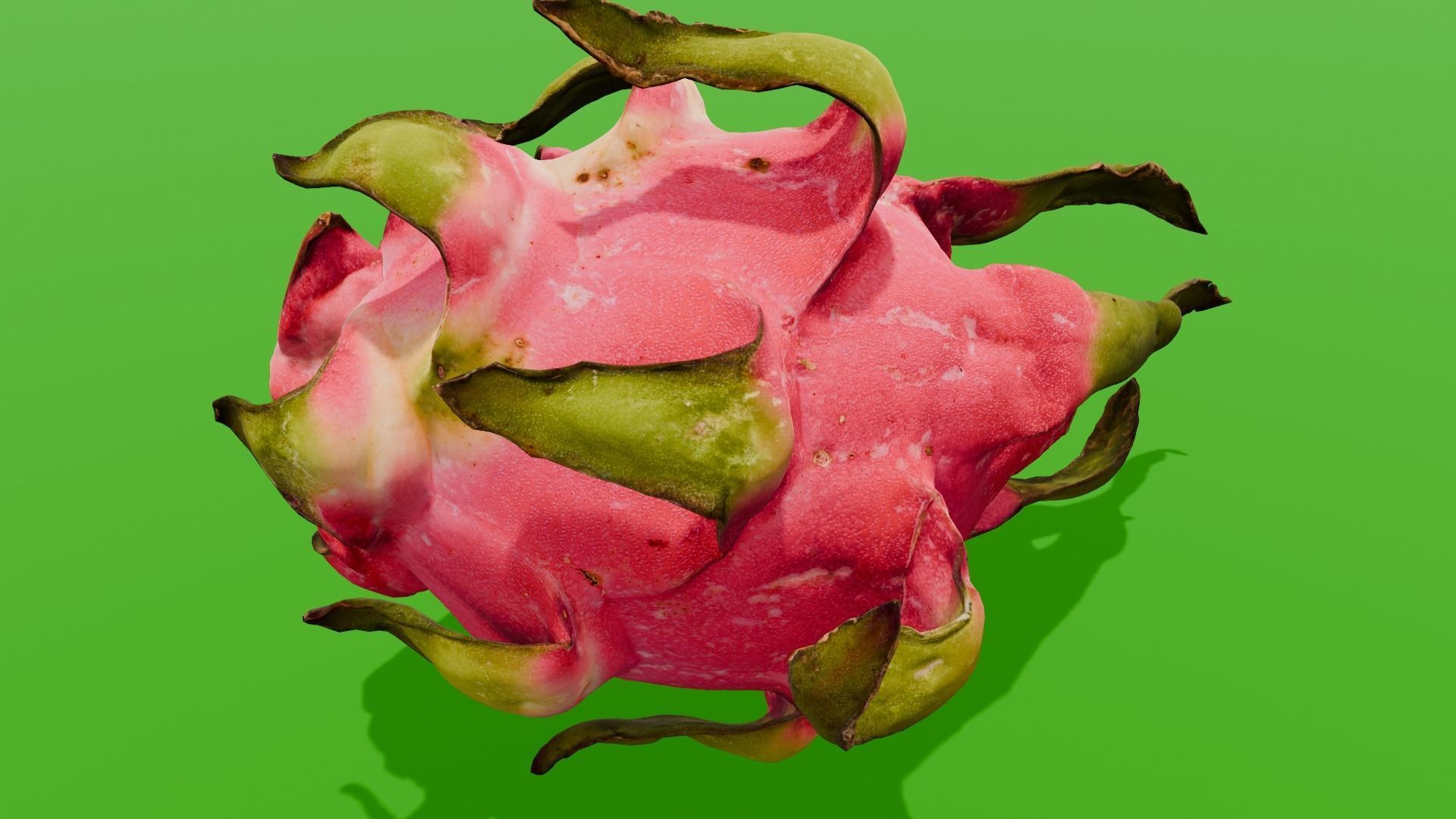 Dragon Fruit 3D Model Low-poly 3D model_17