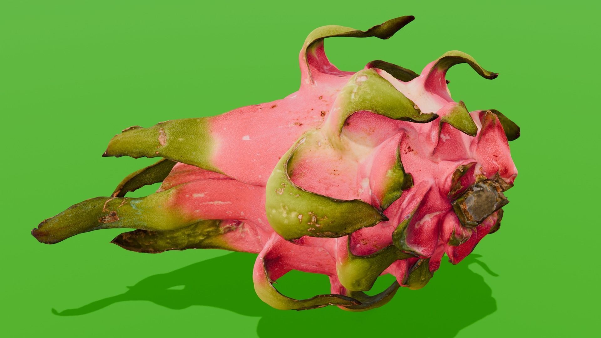 Dragon Fruit 3D Model Low-poly 3D model_8