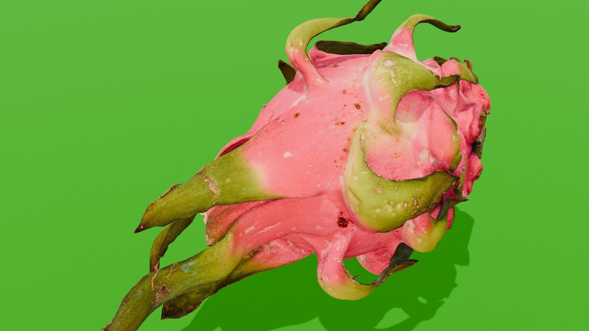 Dragon Fruit 3D Model Low-poly 3D model_23