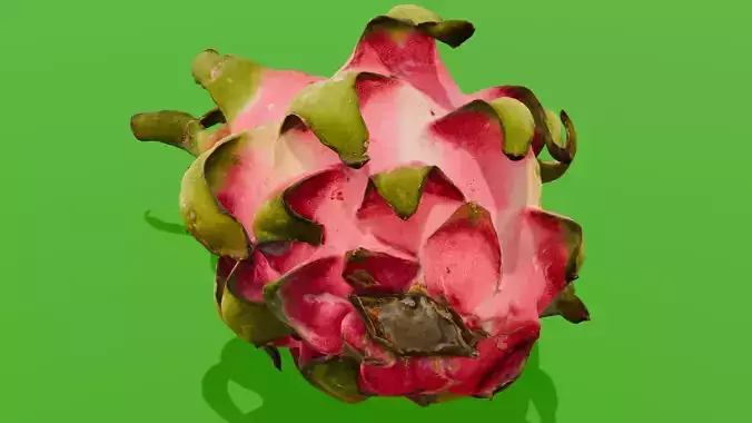 Dragon Fruit 3D Model