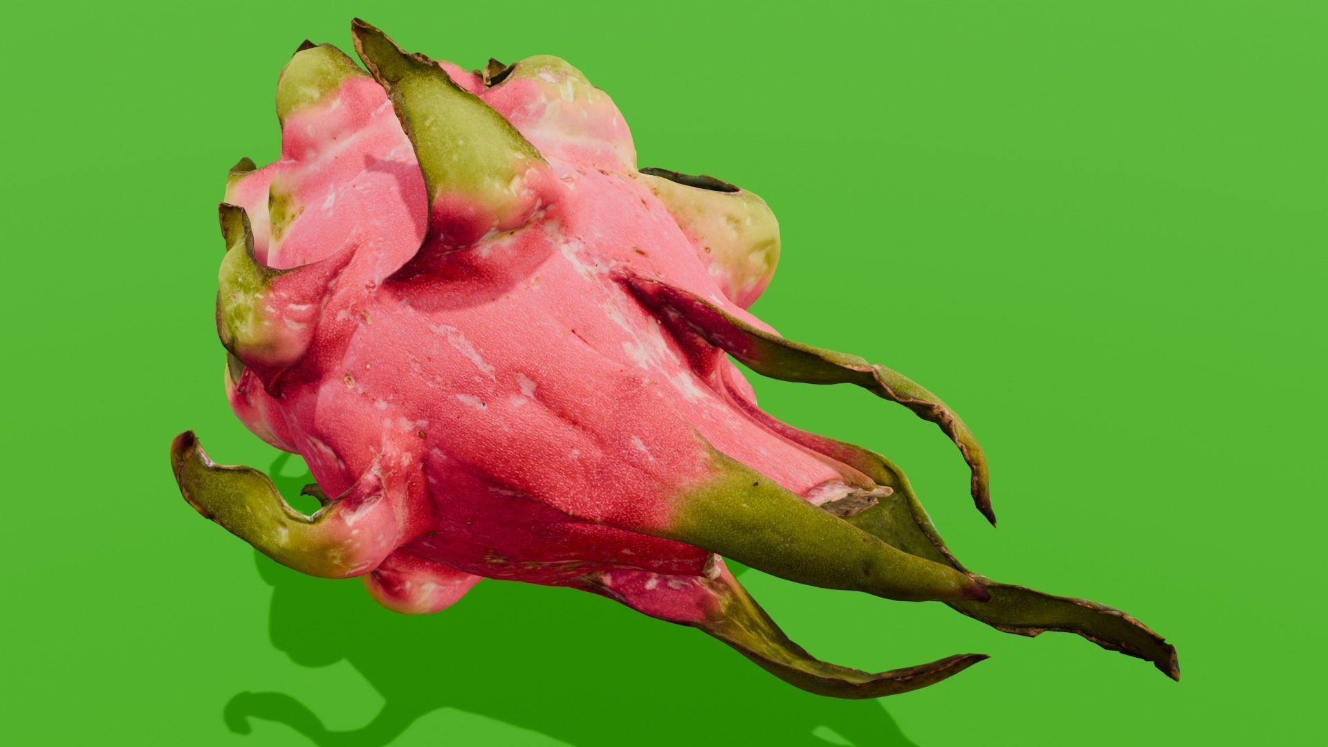 Dragon Fruit 3D Model Low-poly 3D model_22