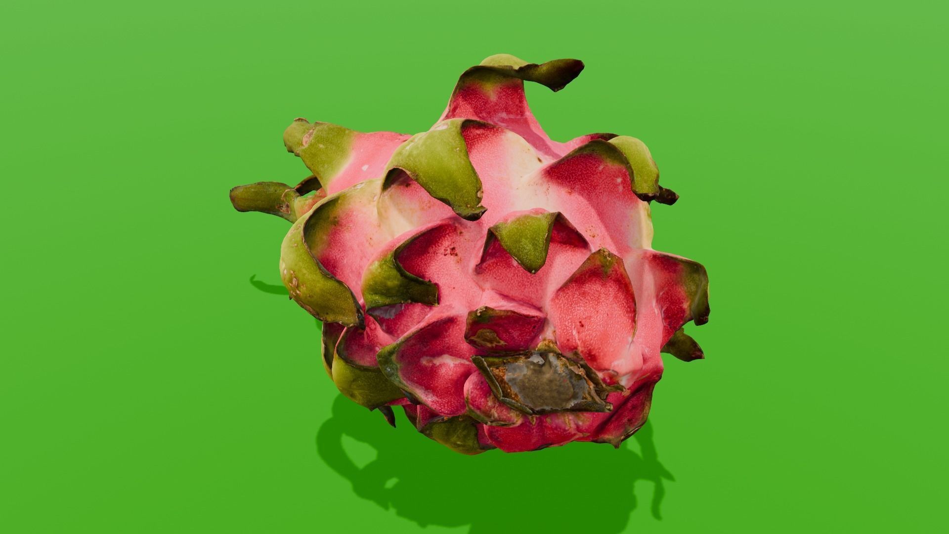 Dragon Fruit 3D Model Low-poly 3D model_11