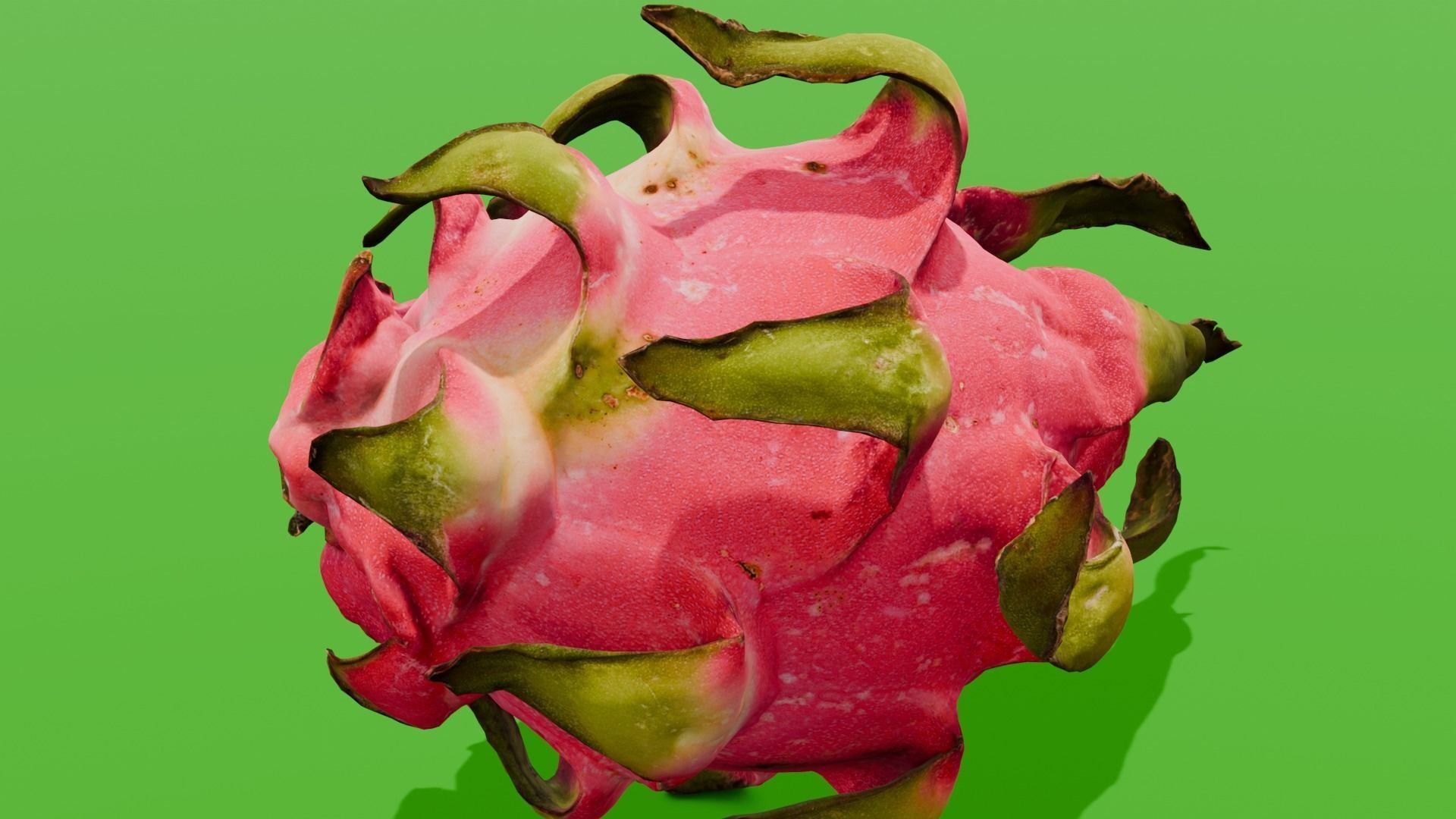 Dragon Fruit 3D Model Low-poly 3D model_20