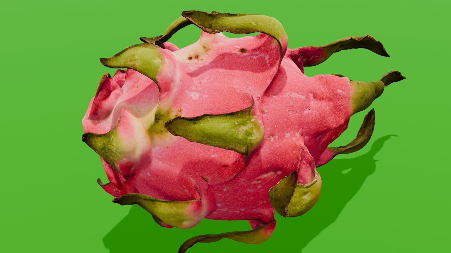 Dragon Fruit 3D Model Low-poly 3D model_2