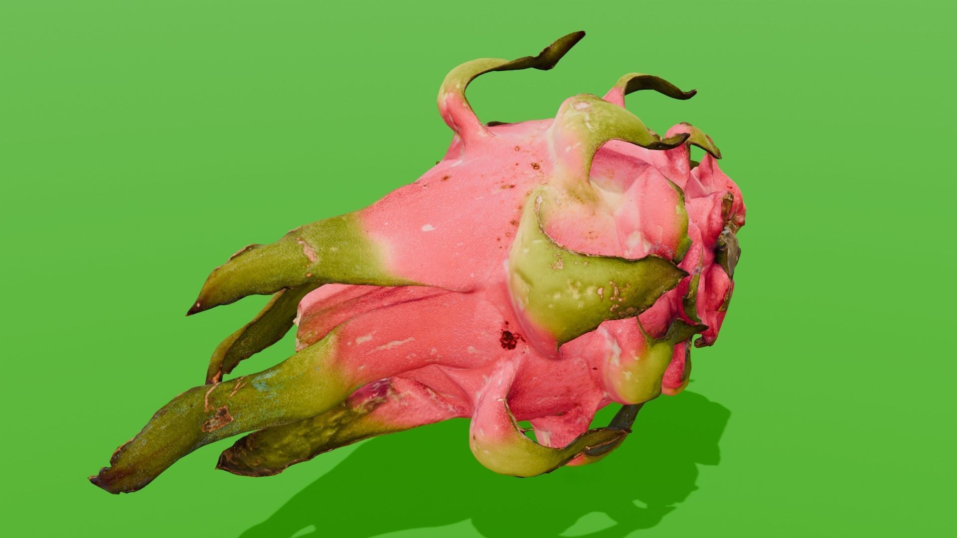 Dragon Fruit 3D Model Low-poly 3D model_5