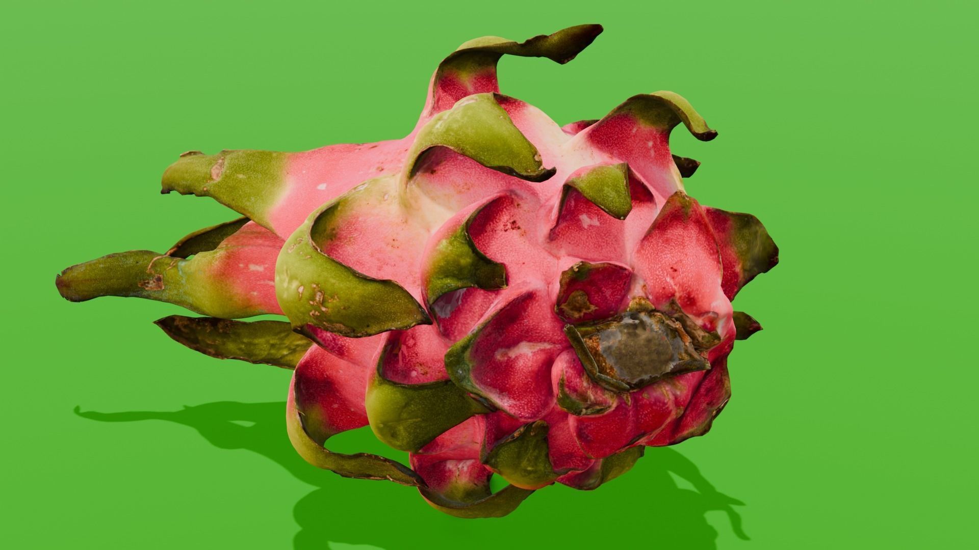 Dragon Fruit 3D Model Low-poly 3D model_1