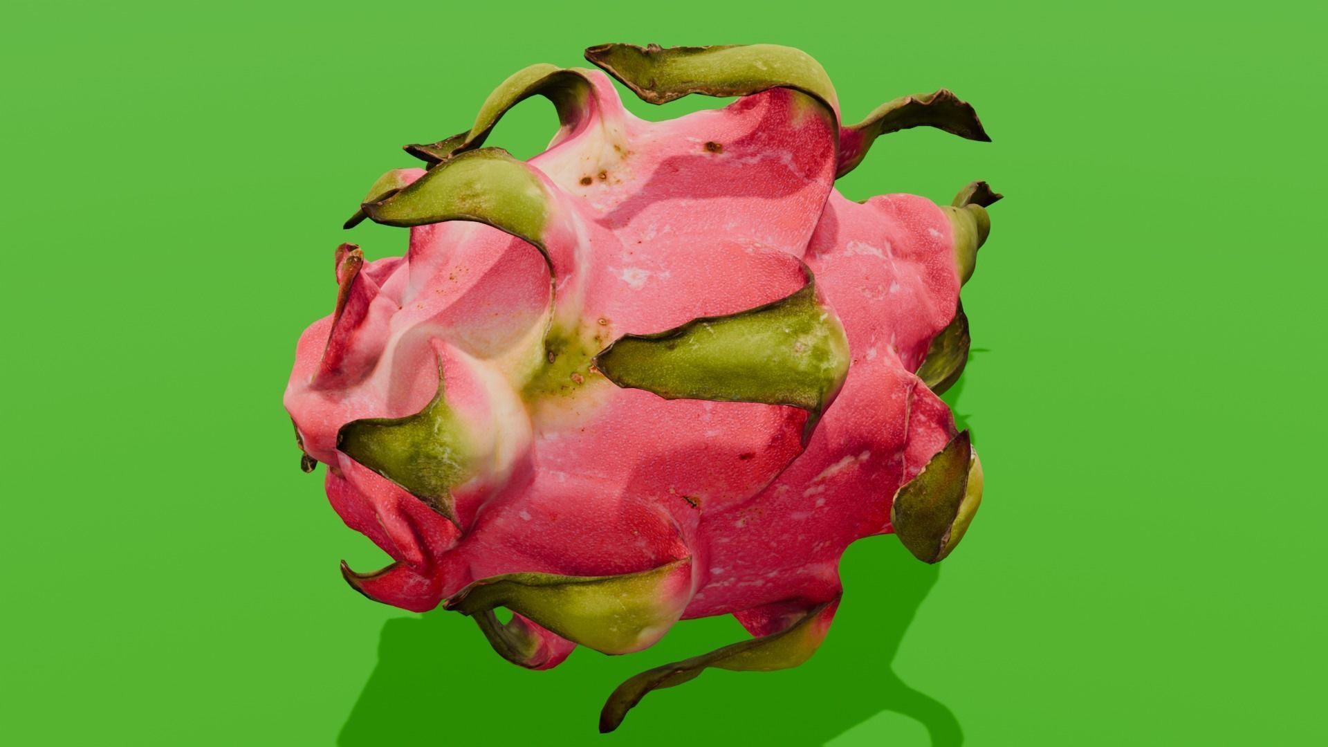 Dragon Fruit 3D Model Low-poly 3D model_6