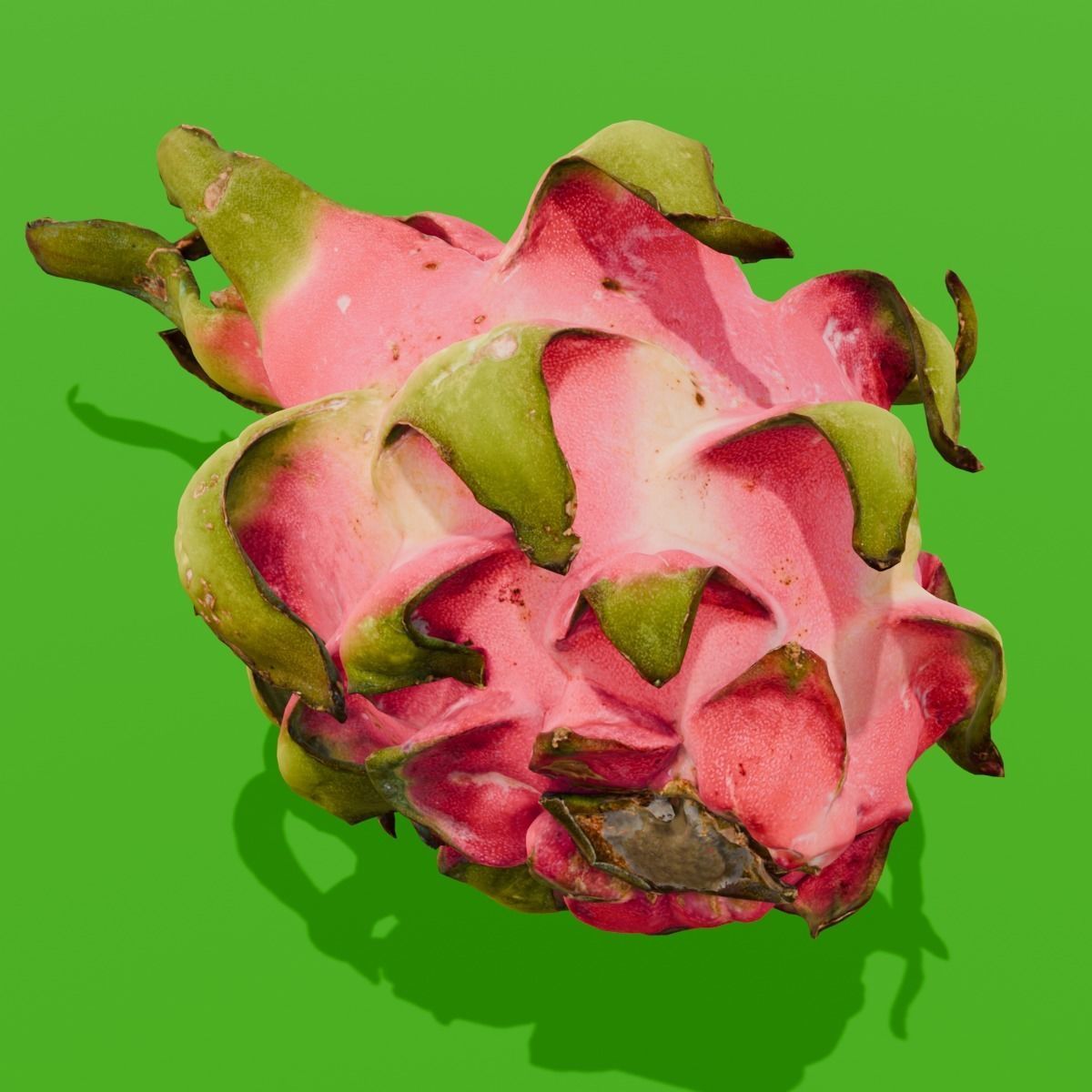 Dragon Fruit 3D Model Low-poly 3D model_13