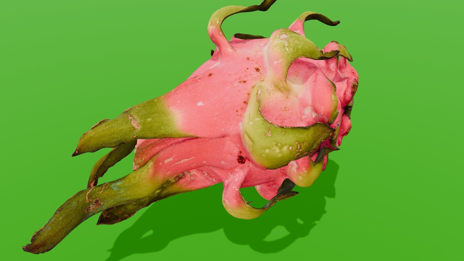 Dragon Fruit 3D Model Low-poly 3D model_3