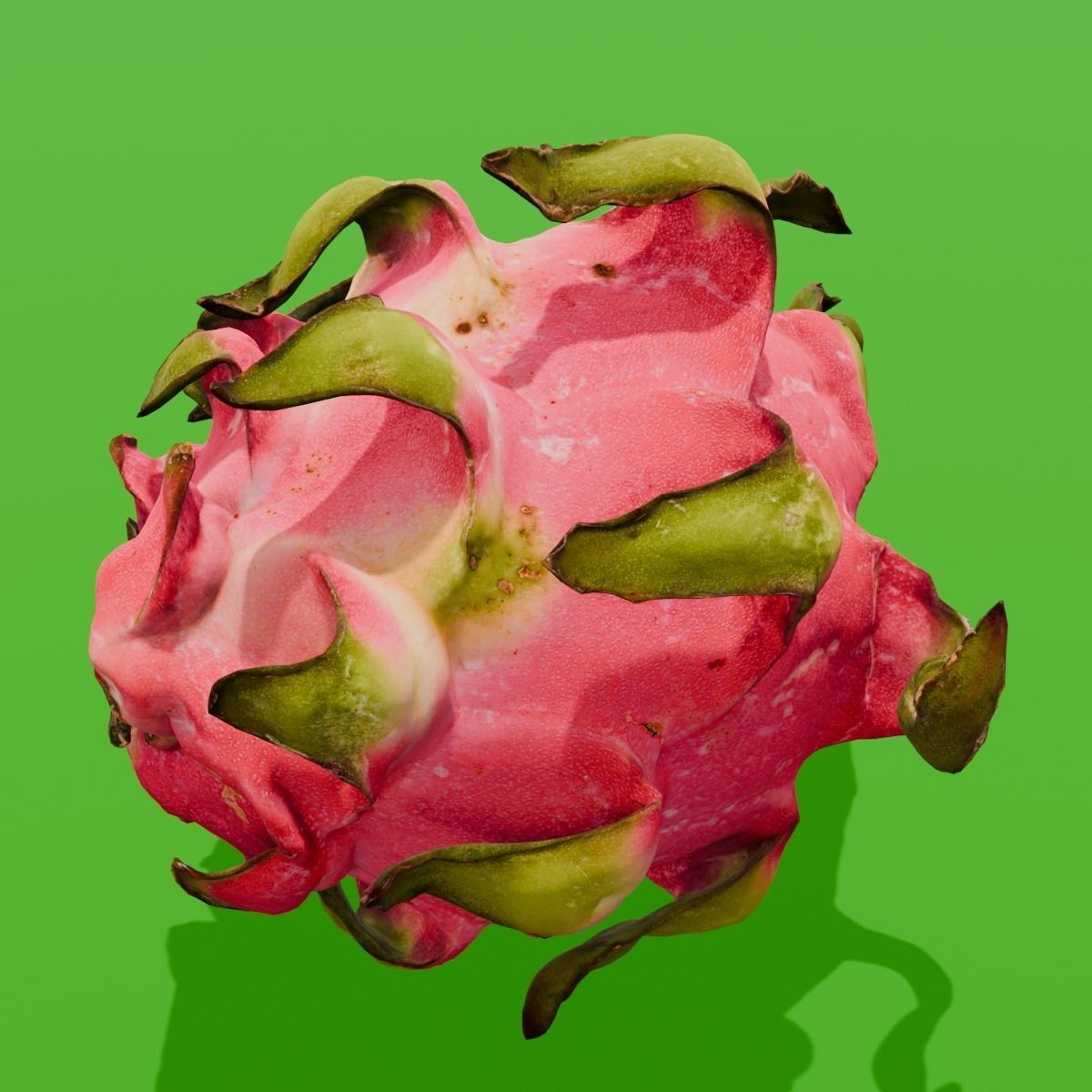 Dragon Fruit 3D Model Low-poly 3D model_12