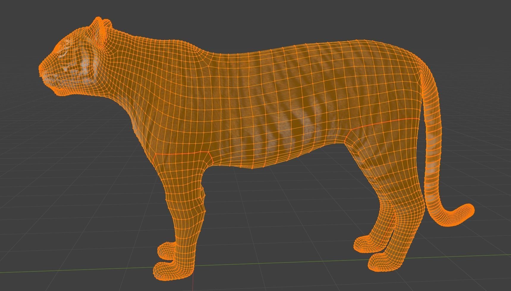 Siberian Tiger 3D model_4