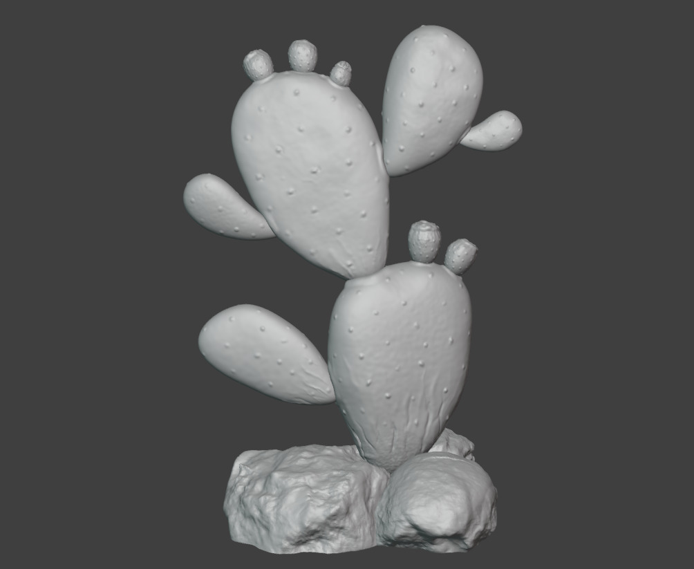 Cactus plant-Nopales-Opuntia 3D print model_2
