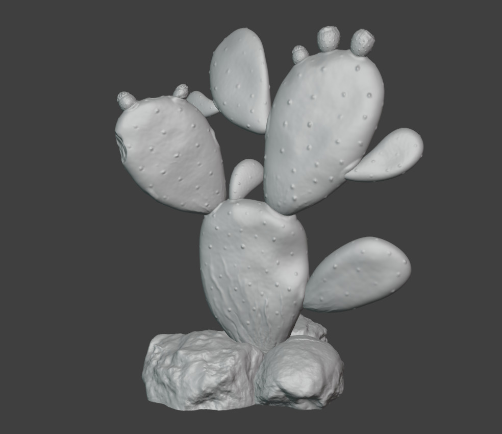Cactus plant-Nopales-Opuntia 3D print model_3