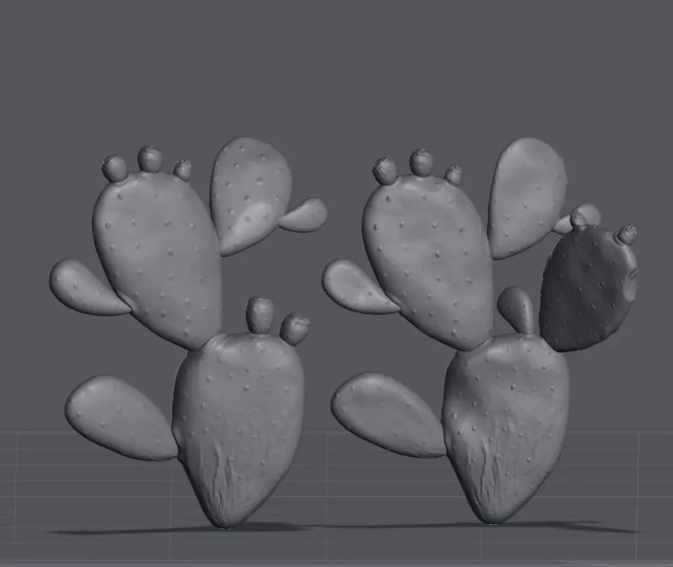 Cactus plant-Nopales-Opuntia 3D print model_0