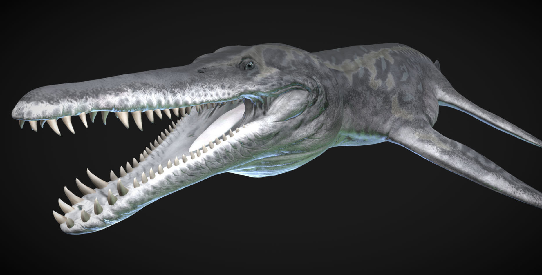 Kronosaurus Low-poly 3D model_2