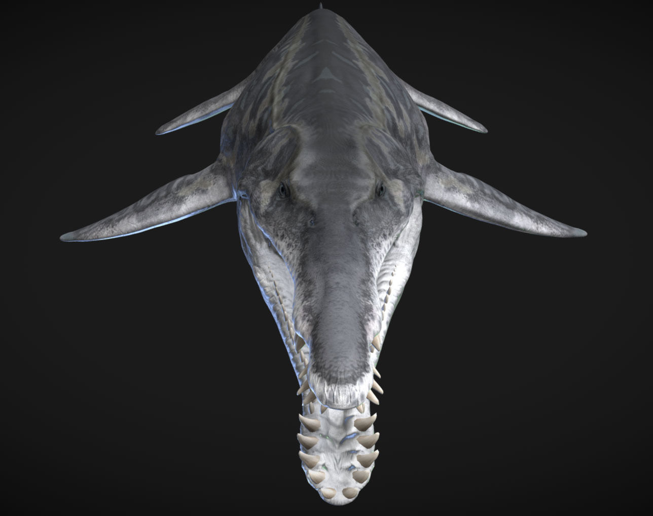 Kronosaurus Low-poly 3D model_7