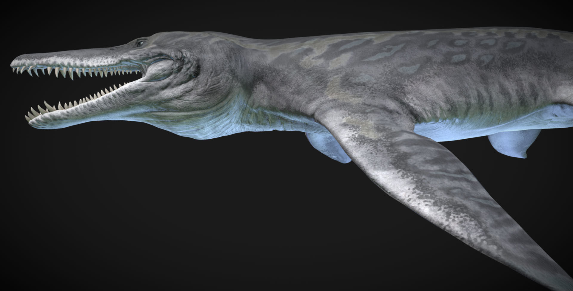 Kronosaurus Low-poly 3D model_3