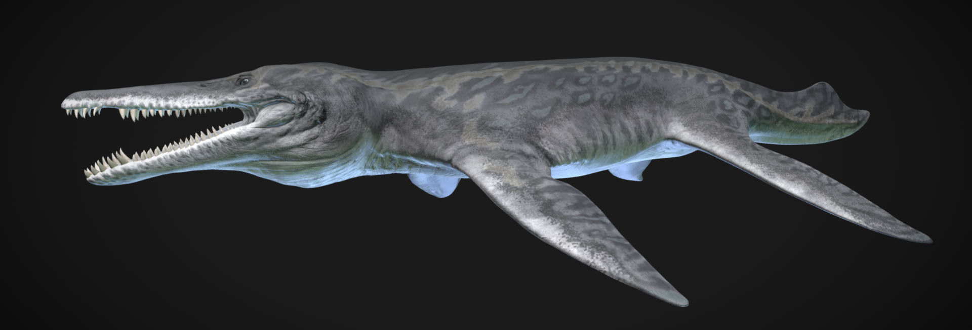 Kronosaurus Low-poly 3D model_5
