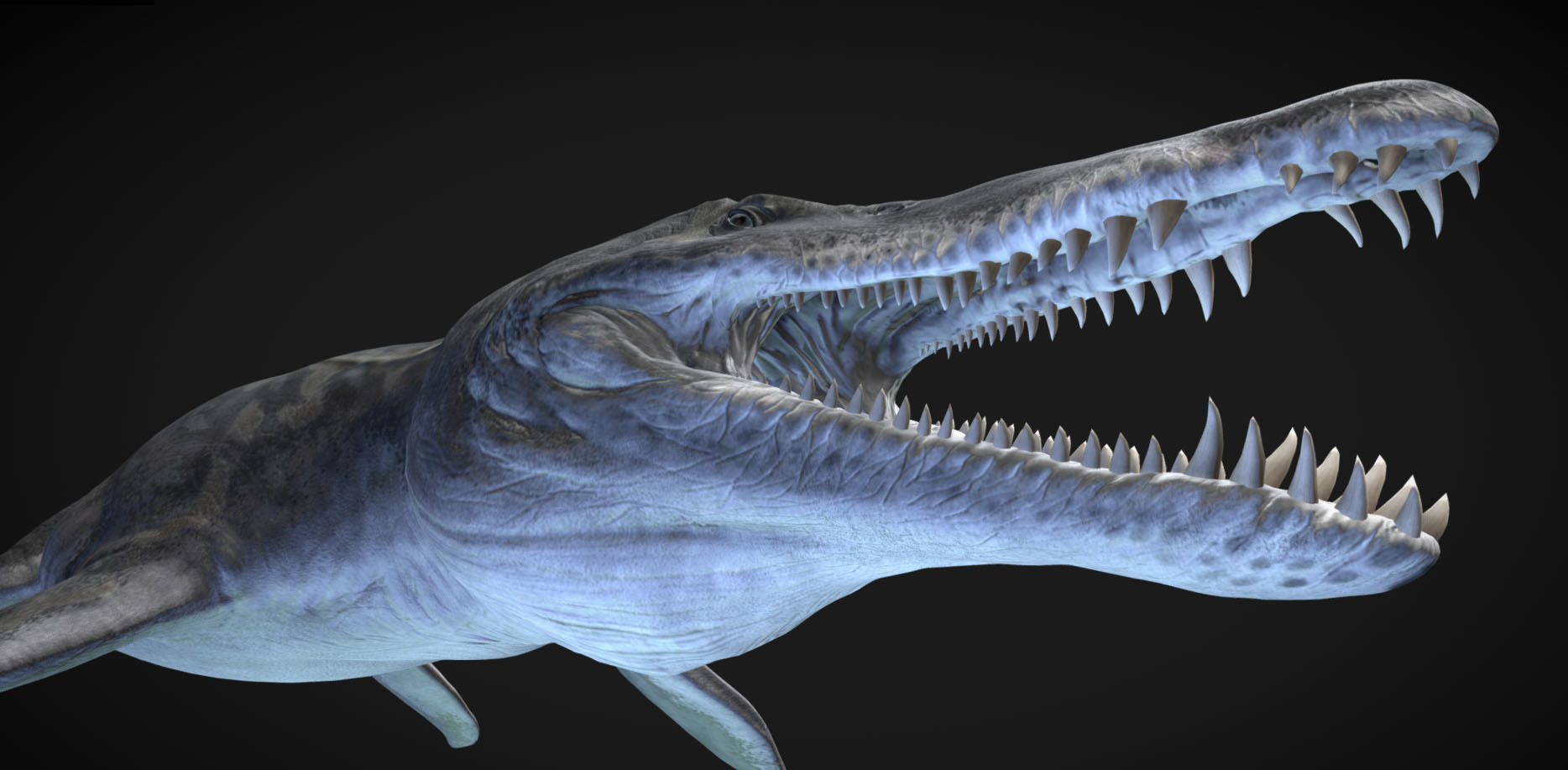 Kronosaurus Low-poly 3D model_4