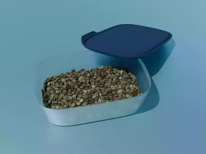 Tupperware One Touch Fresh box with lentils 3D model