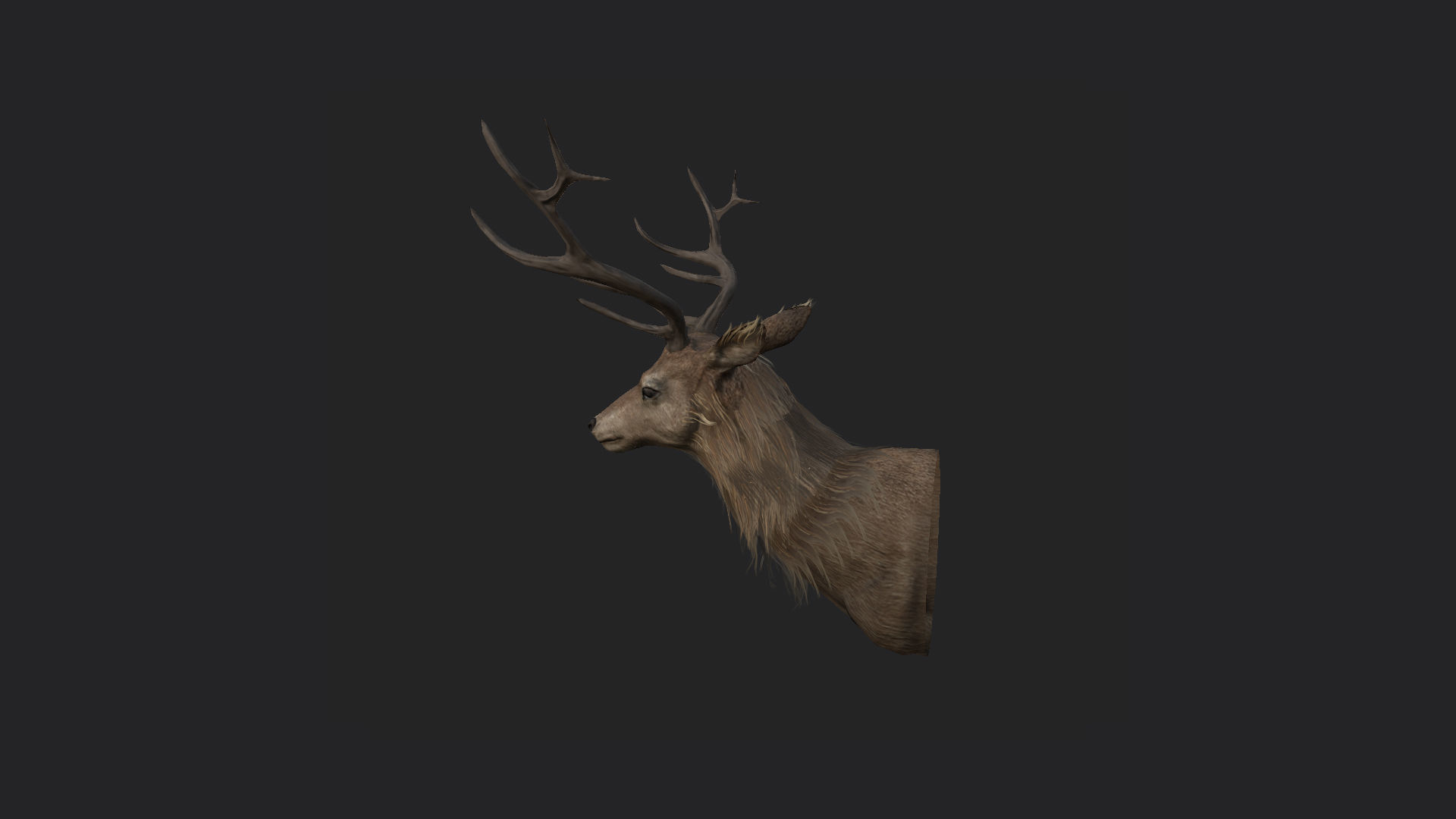 Deer 3D Model 001 Low-poly 3D model_1