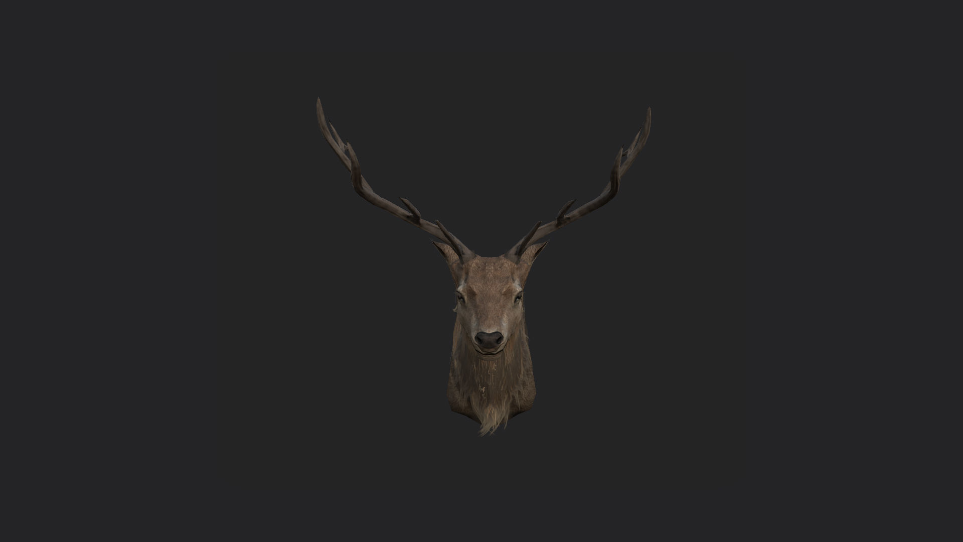 Deer 3D Model 001 Low-poly 3D model_5