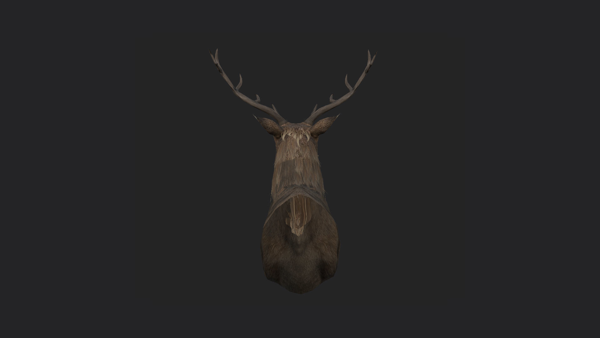 Deer 3D Model 001 Low-poly 3D model_2
