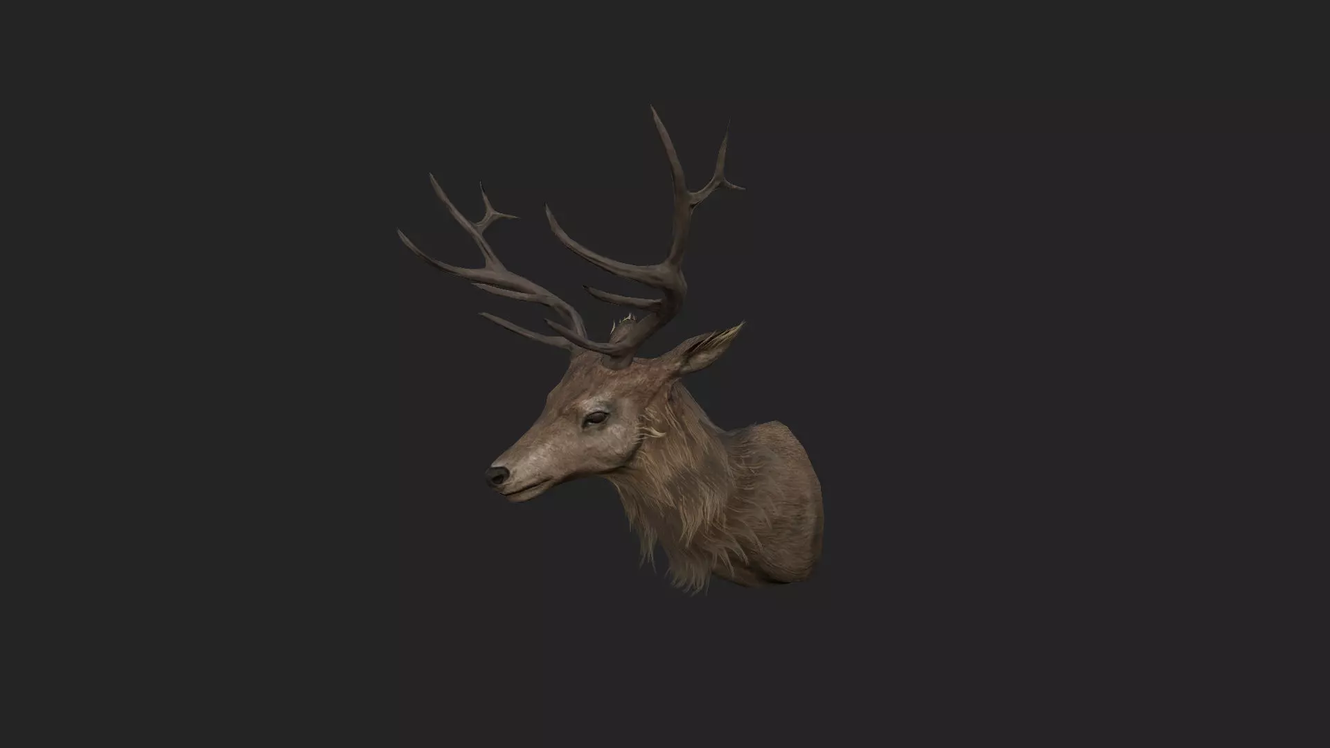 Deer 3D Model 001 Low-poly 3D model_0