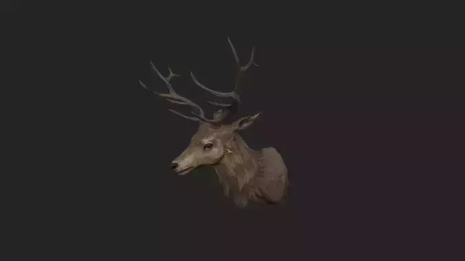 Deer 3D Model 001 Low-poly 3D model