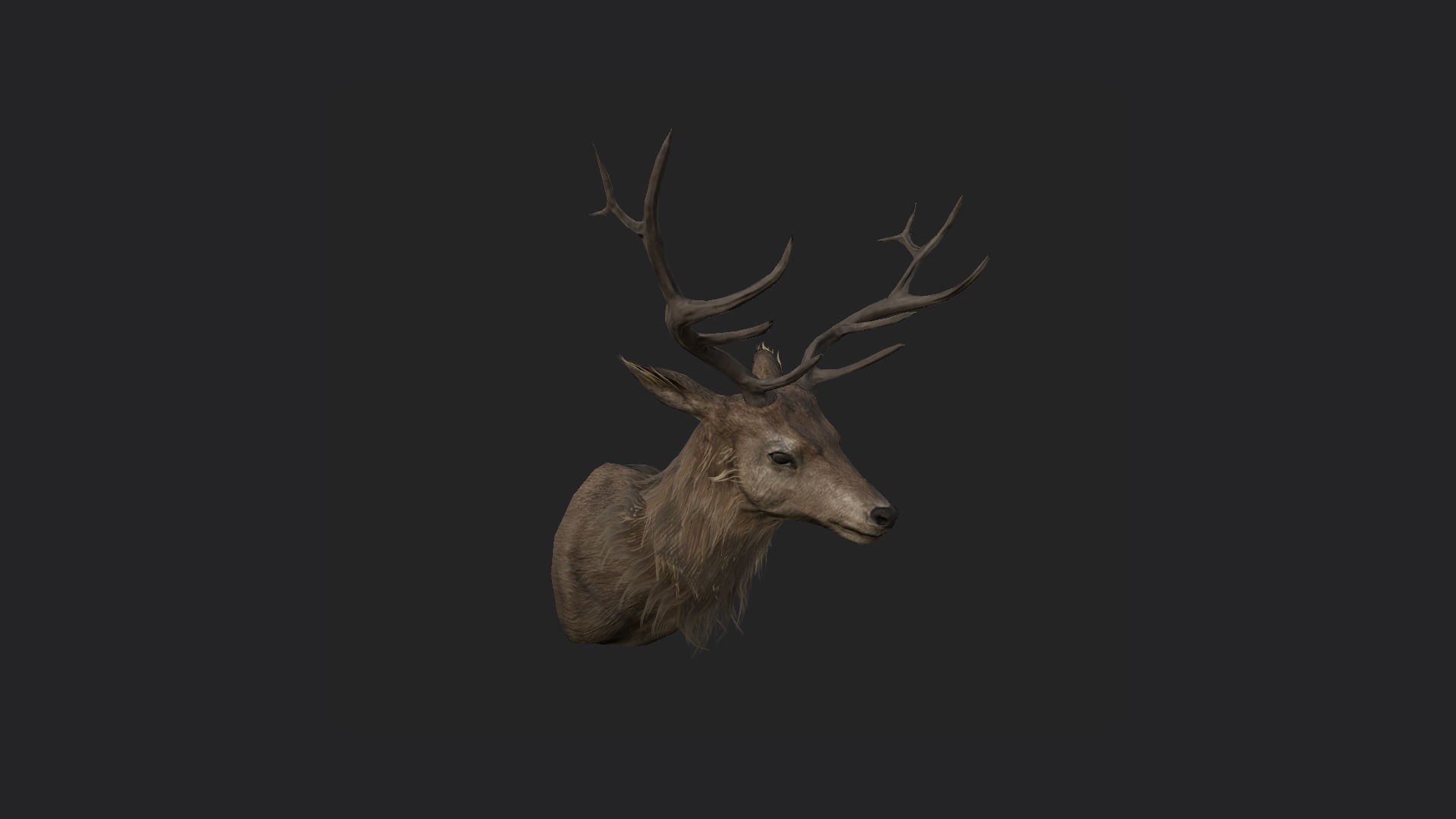Deer 3D Model 001 Low-poly 3D model_4