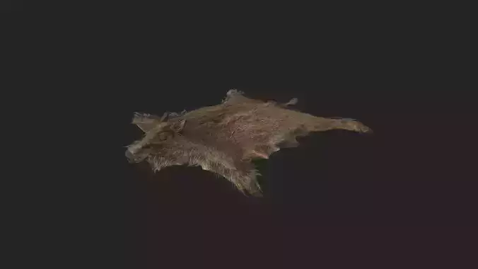 Pigskin 3D Model 001