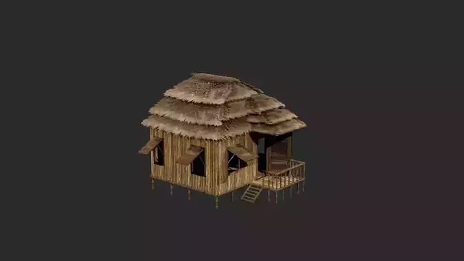 Thatched Wooden house 3