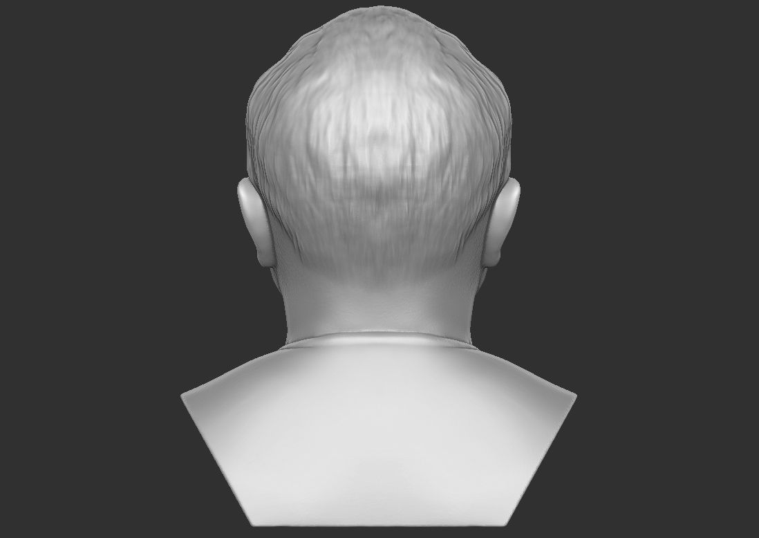 Louis CK bust for 3D printing 3D print model_11