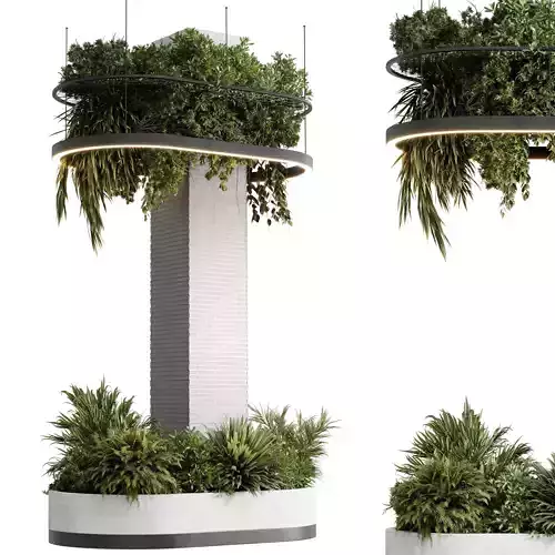 Column plant - pillar plant - hanging light pot