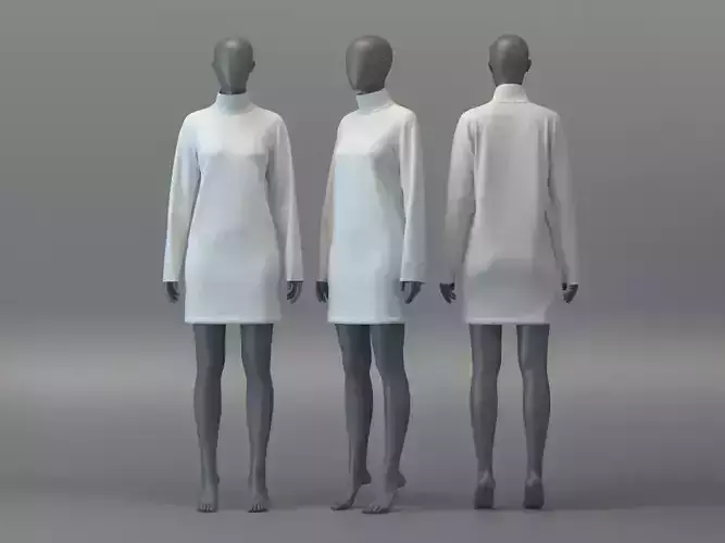 Turtleneck Jumper Dress