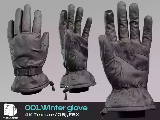 001 - Winter gloves