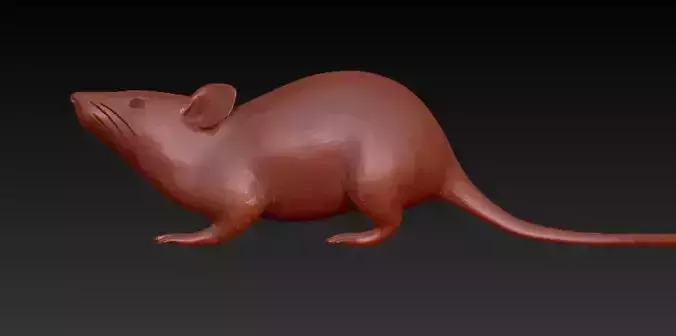 3D model Mouse