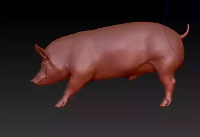 3D Model Pig 3D print model